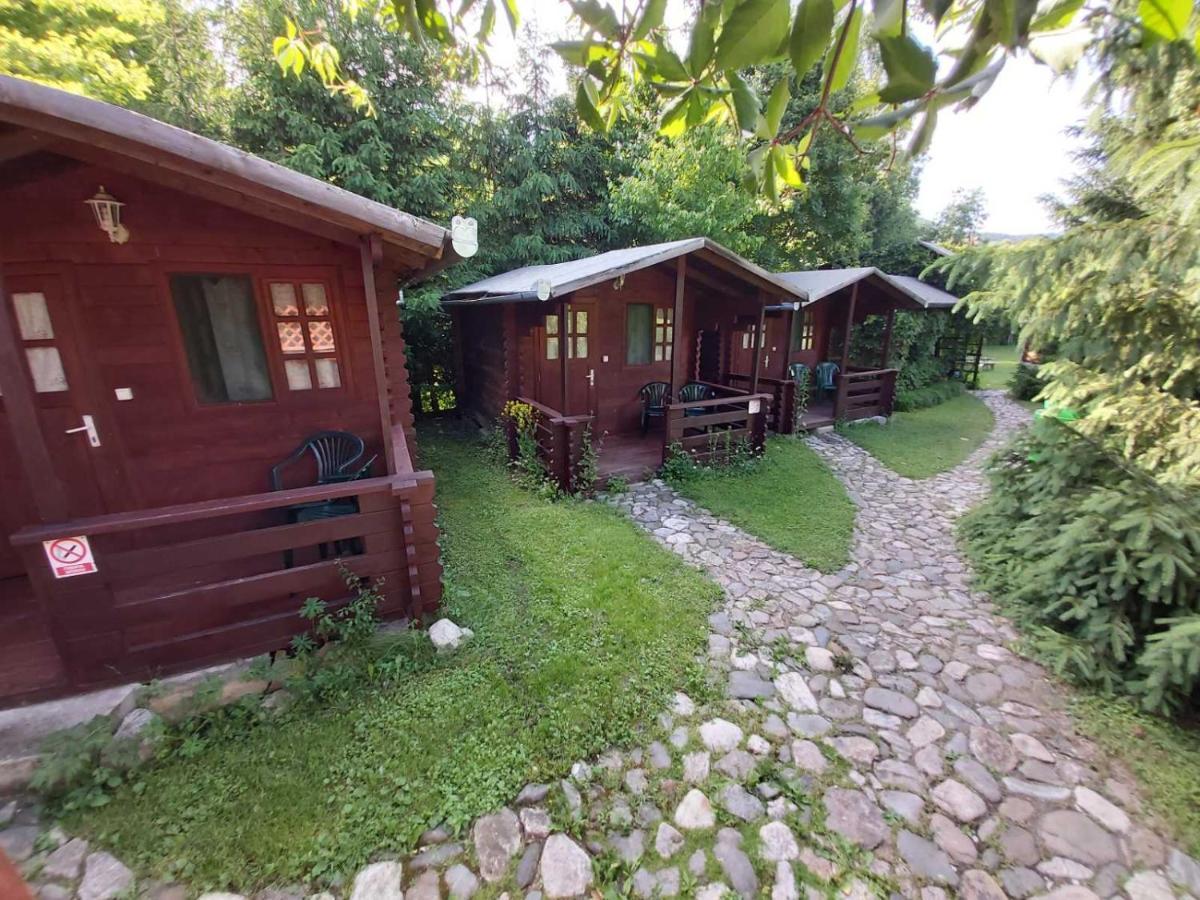 Bungalow Camping Edelweiss - Floare De Colt - Gyopar Rimetea Bagian luar foto